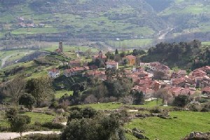 Alevia