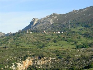 Alevia